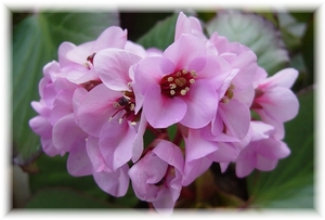 �q�}�������L�m�V�^