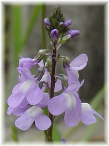 �}�c�o�E������