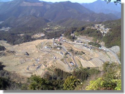 展望台からの棚田